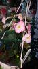 IMG-20190907-WA0044