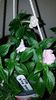 IMG-20190827-WA0051