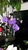 IMG-20190828-WA0078