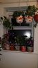 IMG-20190828-WA0086