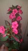 IMG-20190930-WA0022
