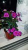 IMG-20190828-WA0047