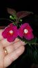 IMG-20190927-WA0005