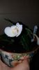 IMG-20190927-WA0009