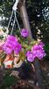 IMG-20190920-WA0015