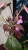 IMG-20191005-WA0029