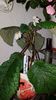 IMG-20190828-WA0154