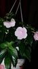 IMG-20190927-WA0057
