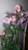IMG-20190930-WA0003