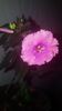 IMG-20190930-WA0007