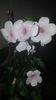 IMG-20190930-WA0014