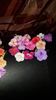 IMG-20190919-WA0011