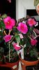 IMG-20190828-WA0103