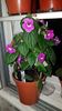 IMG-20190828-WA0105