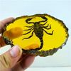 Medalion cu scorpion incastrat in chihlimbar_165 de lei