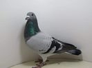 D7C423BD-4F00-4E98-A869-CA98F4125187