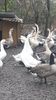 VideoCapture_20191120-235829