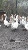 VideoCapture_20191120-235756