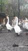 VideoCapture_20191120-235734