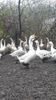 VideoCapture_20191121-000000