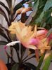 thumbnail - 2019-11-19T224815.327