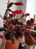 thumbnail - 2019-11-19T225758.099
