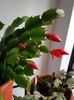 thumbnail - 2019-11-19T225835.203