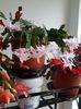 thumbnail - 2019-11-22T141609.720
