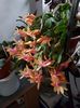 thumbnail - 2019-11-22T141746.165