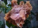 P1430293