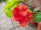 3 aug (3)