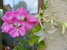 3 aug (29)