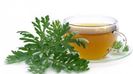 ceai_pelin- Taraf de Haidouks - Pelin bau, pelin maninc - Absinth I Drink You, Absinth I Eat You