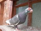 SAM_6787