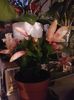 thumbnail - 2019-11-29T123218.619