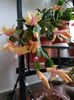 thumbnail - 2019-11-20T111937.565
