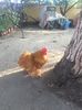 IMG-20191013-WA0001