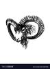 ink-sketch-head-mouflon-vector-19294858