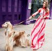 Leader_of_the_pack_Iraida_whose_grooming_routine_takes_four_hour-m-76_1522615103970
