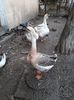 IMG-20191202-WA0051
