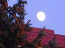 Luna in crestere in Taur