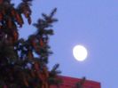 Luna in crestere in Taur
