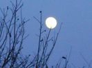 Luna in crestere in Gemeni