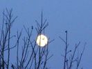 Luna in crestere in Gemeni