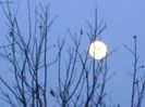 Luna in crestere in Gemeni