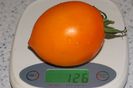 ORANGE PEPPER -UKR (12)