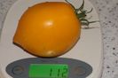 ORANGE PEPPER -UKR (13)