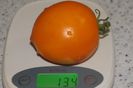 ORANGE PEPPER -UKR (18)