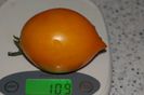 ORANGE PEPPER -UKR (28)
