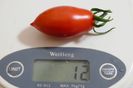 RED PEPPER CHERRY UKR (29)